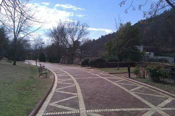 IMAG0145