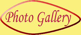 Photo Gallery